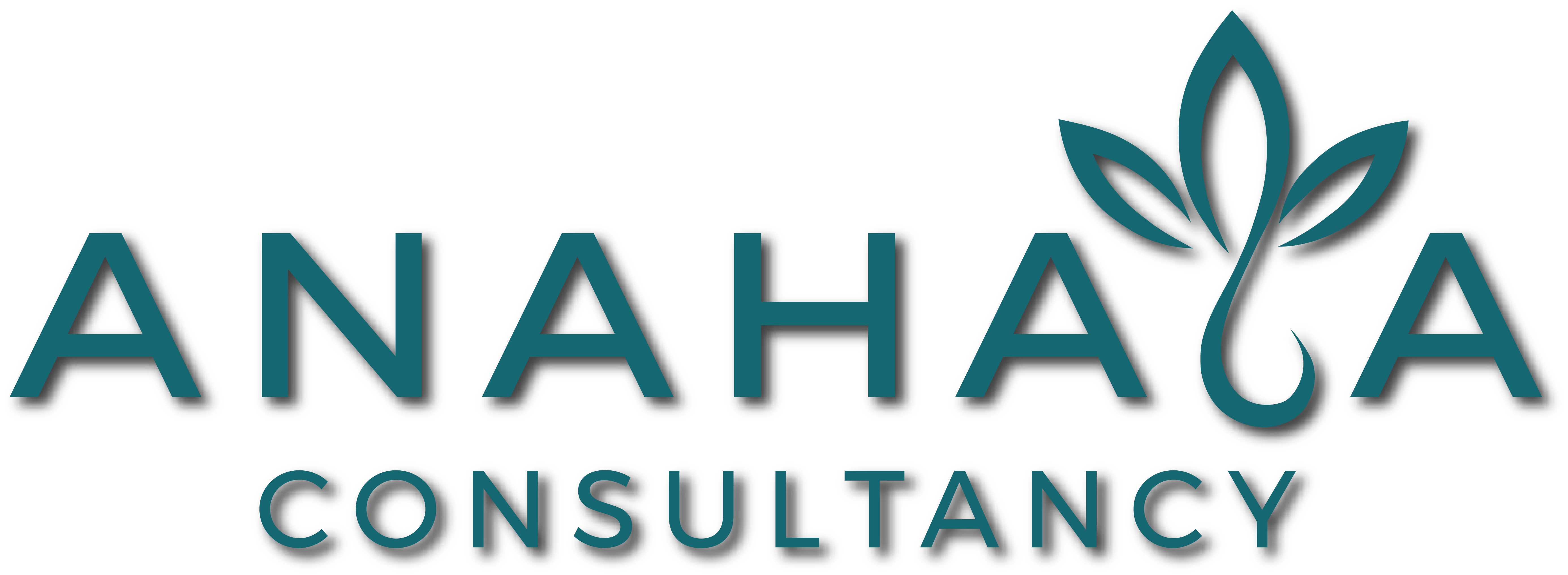 Anahata Consultancy Logo